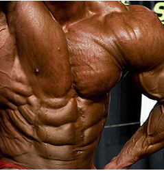 The Power Of The ‘Anabolic Window’