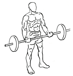 How Many Reps To Build Muscle?