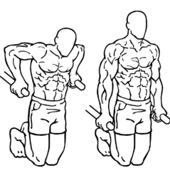 Tricep Dips & Chest Dips. The Big Difference!
