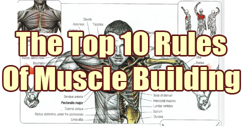 Mark’s Top 10 Rules of Muscle Building