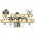 Mark’s Top 10 Rules Of Muscle Building | MuscleHack By Mark McManus