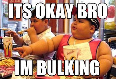 its-ok-bro-im-bulking