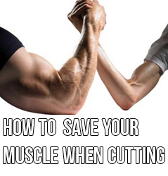 How To Not Lose Muscle When Cutting