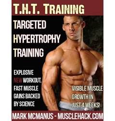 THT Training Version 6 Available For Download