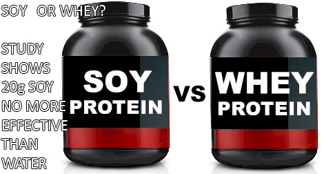 soy-vs-whey-protein-1