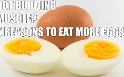 Not Building Muscle? Eat More Eggs. Here’s why…