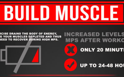 Infographic On How To Build Muscle