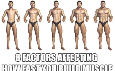 How Much & How Fast Can You Can Build Muscle