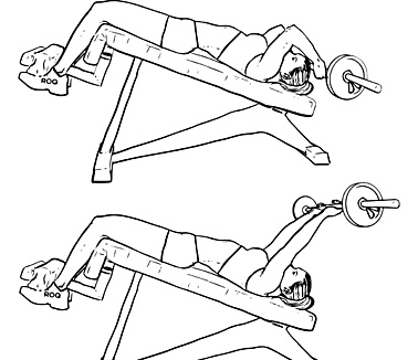 Are You Doing Decline Tricep Extensions?