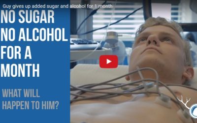 What Happens When You Don’t Drink Alcohol or Eat Sugar For One Month?