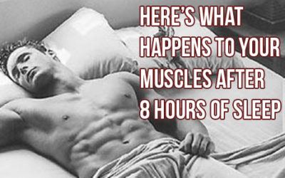 What Happens To Your Muscles After 8hrs Sleep