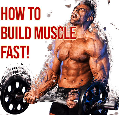 How To Build Muscle Mass Fast – Complete Guide