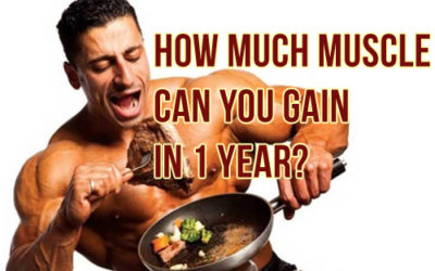 How Much Muscle Can You Gain In A Year, A Month, A Week, A Day?
