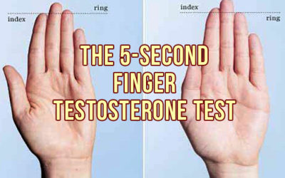 The 5-Second Finger Testosterone Test
