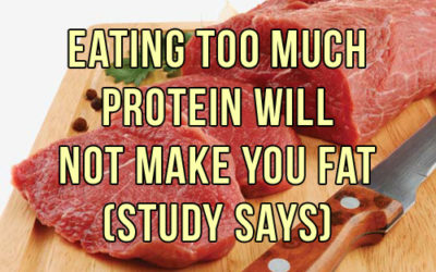 Extra Protein Will Not Make You Fat?