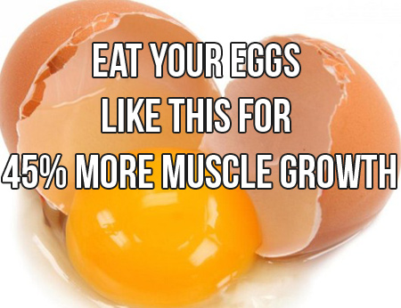 Whole Eggs Increase Muscle Growth By 45%