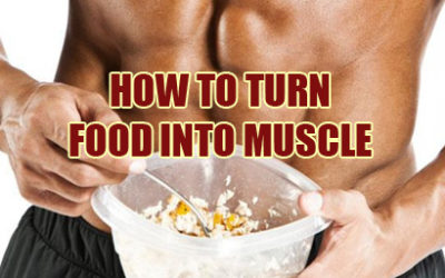 How To Turn Food Into Muscle Instead of Fat
