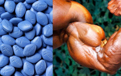Does Viagra Double Muscle Gains?