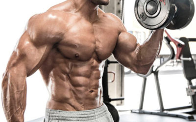 The Best Damn Workout For Big Arms